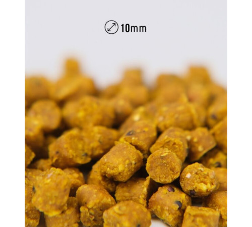 фото Пеллетс NICK BAITS GOLD PELLETS FISHFRUITS 10 мм (Тигровый орех), 1 кг