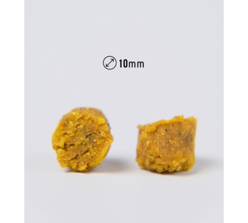 фото Пеллетс NICK BAITS GOLD PELLETS FISHFRUITS 10 мм (Тигровый орех), 1 кг
