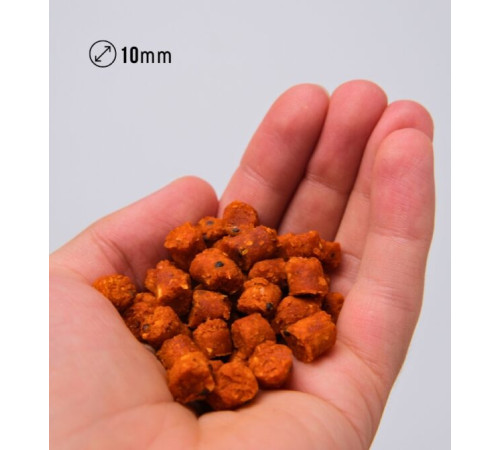 фото Пеллетс NICK BAITS GOLD PELLETS FISHFRUITS 10 мм (Королевская слива), 1 кг