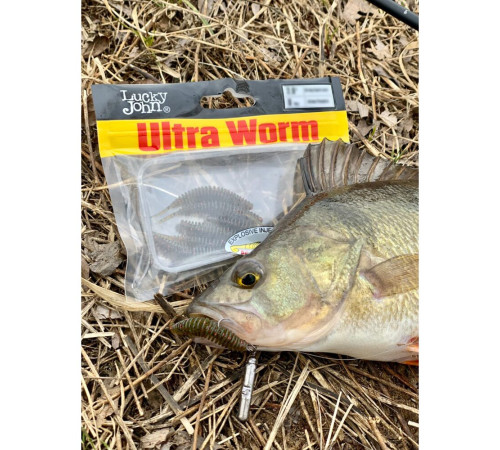 фото Слаги съедобные искусственные LJ Pro Series ULTRAWORM 1,4in (03.50)/PA03 12шт.